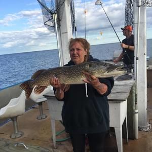 Meet your Posher, Renee